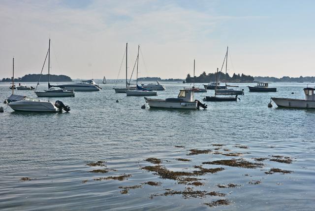 min 2016 10 14 morbihan 183